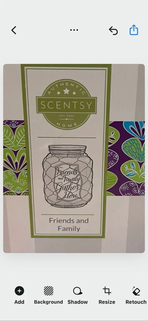 New Scentsy Blue 